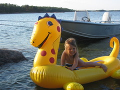 Linn på drake