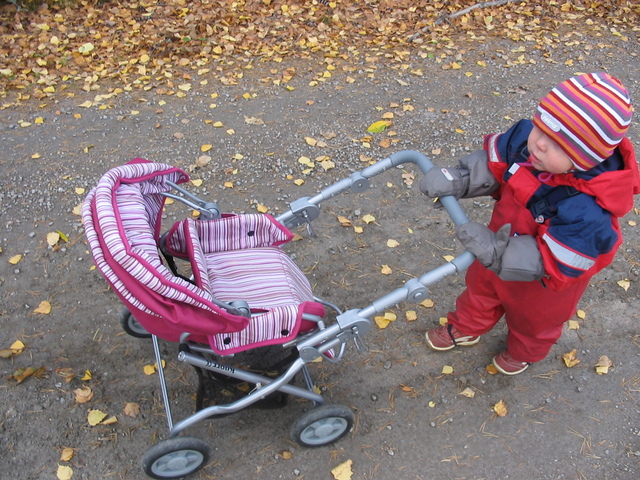 Petra på vägen med kärran (click to zoom)