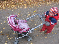 Petra på vägen med kärran